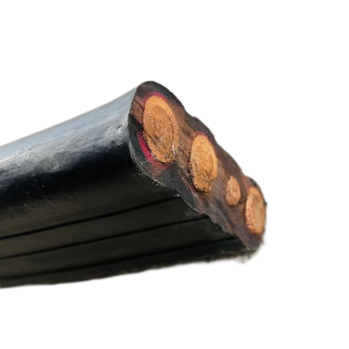 202411201648321083 202411201648321083