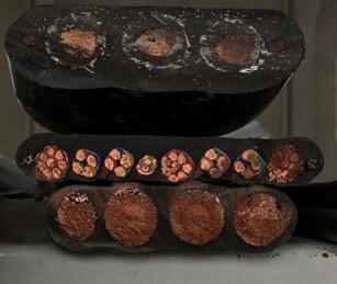 海博论坛·hibet(中国)官方网站