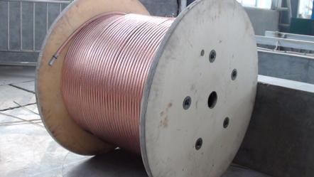 海博论坛·hibet(中国)官方网站