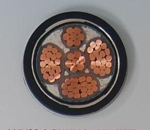 海博论坛·hibet(中国)官方网站