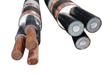 海博论坛·hibet(中国)官方网站