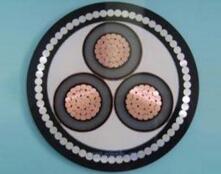 海博论坛·hibet(中国)官方网站