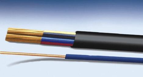 海博论坛·hibet(中国)官方网站