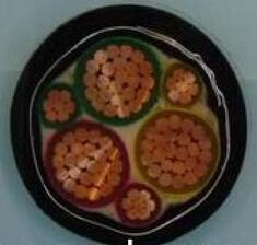 海博论坛·hibet(中国)官方网站