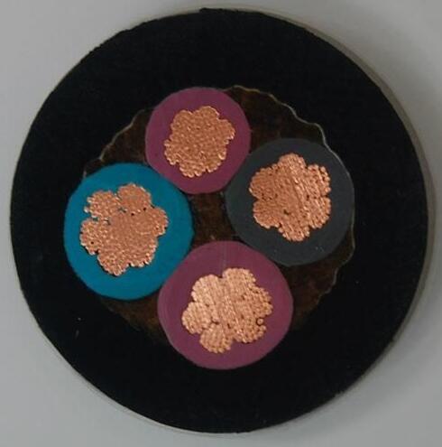 海博论坛·hibet(中国)官方网站