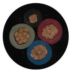 海博论坛·hibet(中国)官方网站