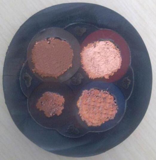 海博论坛·hibet(中国)官方网站