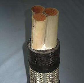 海博论坛·hibet(中国)官方网站