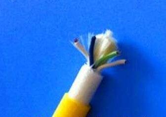 海博论坛·hibet(中国)官方网站