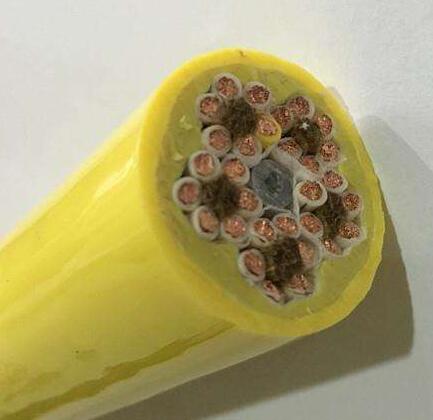 海博论坛·hibet(中国)官方网站