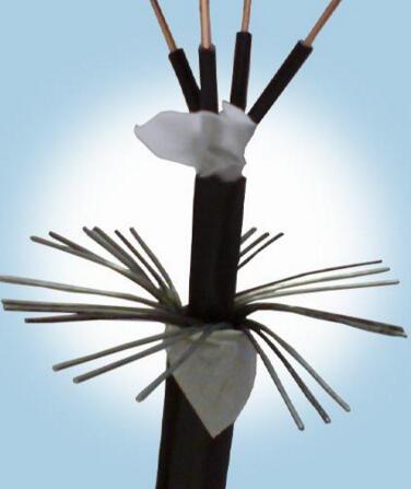 海博论坛·hibet(中国)官方网站