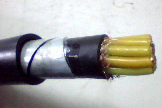 海博论坛·hibet(中国)官方网站