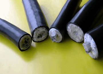 ������̳��hibet(�й�)�ٷ���վ