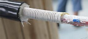 ������̳��hibet(�й�)�ٷ���վ