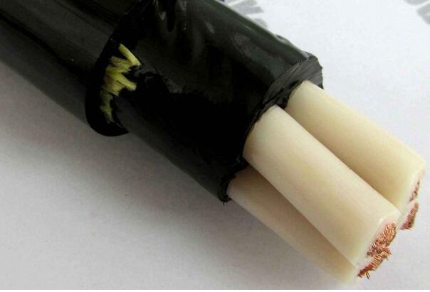 海博论坛·hibet(中国)官方网站