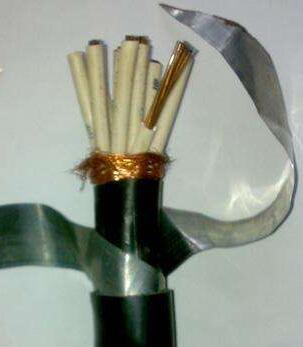 海博论坛·hibet(中国)官方网站