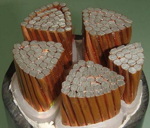 ������̳��hibet(�й�)�ٷ���վ