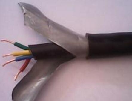 ������̳��hibet(�й�)�ٷ���վ