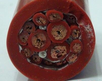 ������̳��hibet(�й�)�ٷ���վ