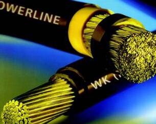 海博论坛·hibet(中国)官方网站