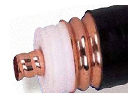 ������̳��hibet(�й�)�ٷ���վ