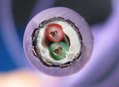 海博论坛·hibet(中国)官方网站