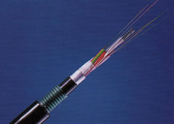 海博论坛·hibet(中国)官方网站