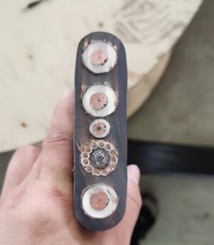 海博论坛·hibet(中国)官方网站