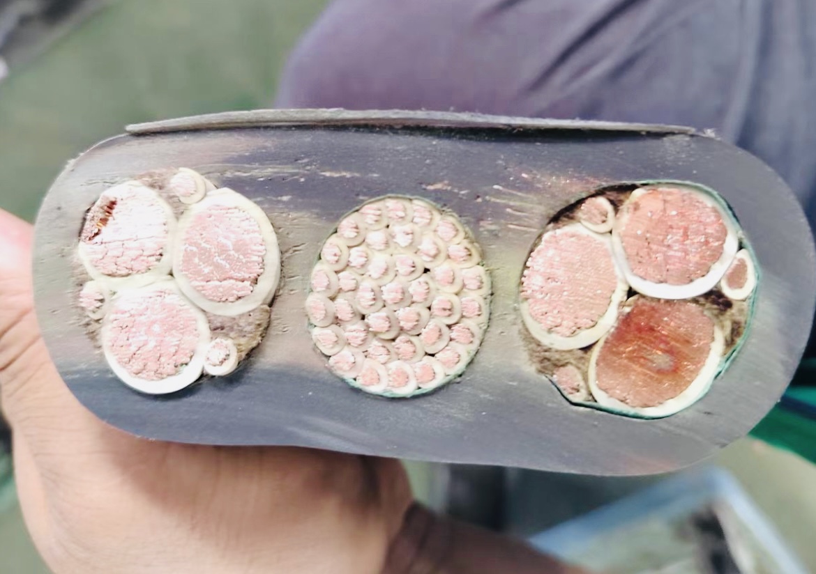 ������̳��hibet(�й�)�ٷ���վ