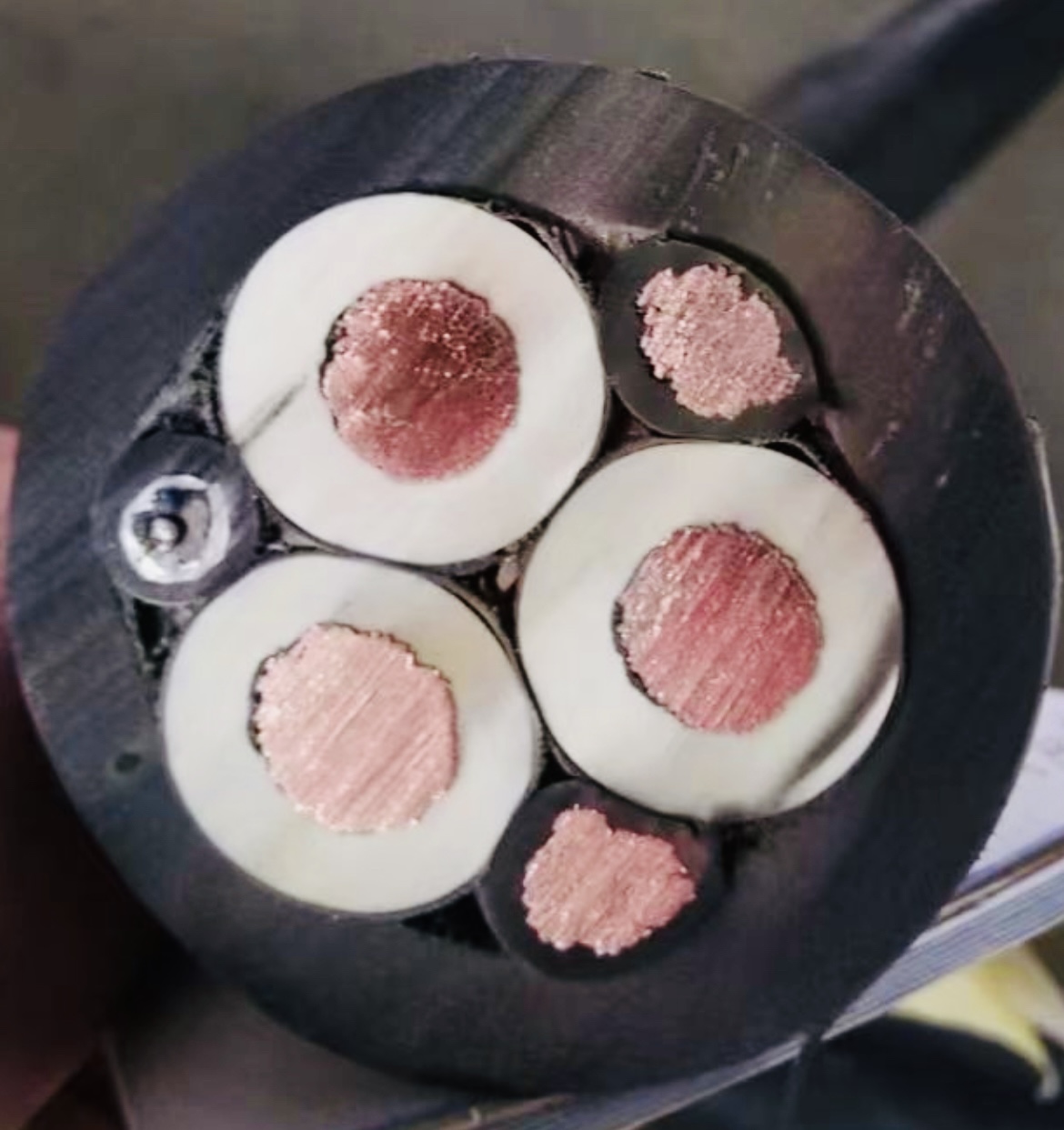 海博论坛·hibet(中国)官方网站