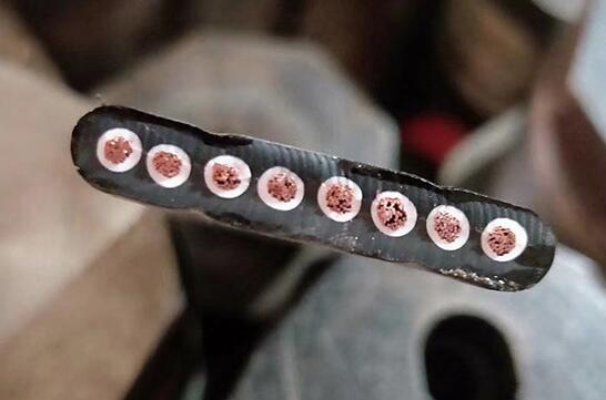 海博论坛·hibet(中国)官方网站