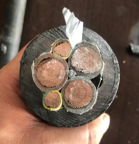 海博论坛·hibet(中国)官方网站