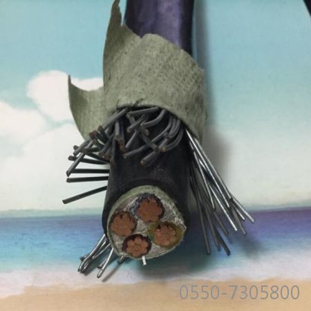 ������̳��hibet(�й�)�ٷ���վ