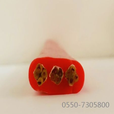 海博论坛·hibet(中国)官方网站