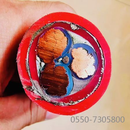 海博论坛·hibet(中国)官方网站