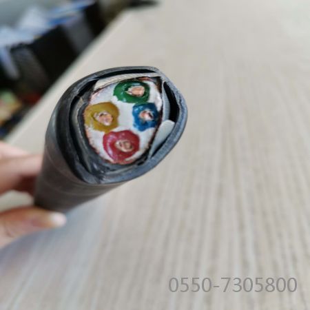 海博论坛·hibet(中国)官方网站