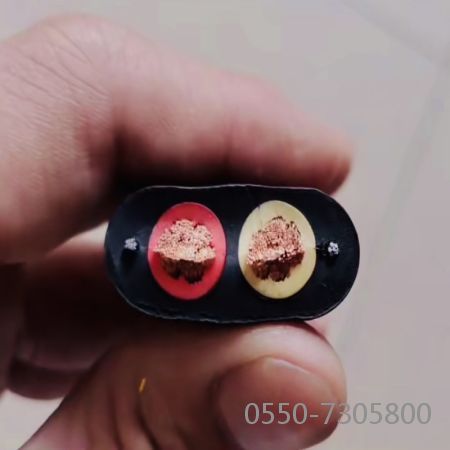 海博论坛·hibet(中国)官方网站