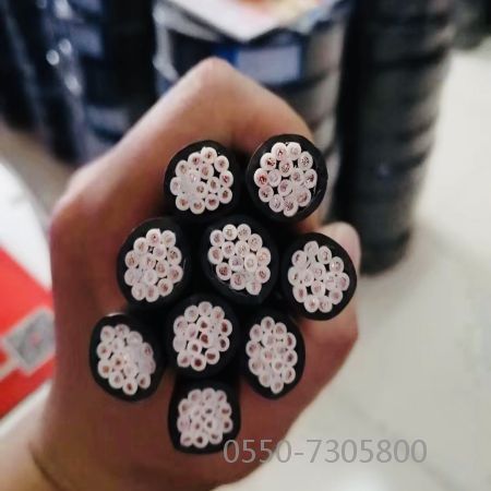 海博论坛·hibet(中国)官方网站