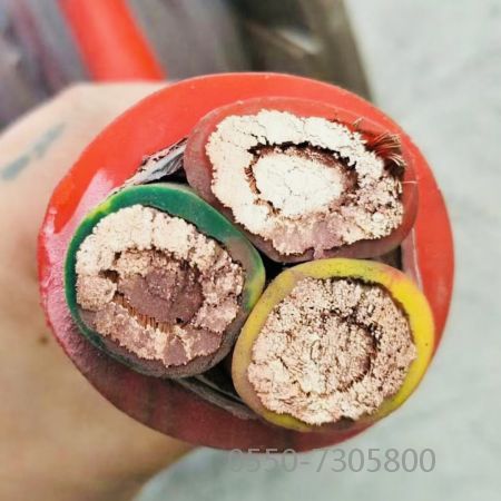 海博论坛·hibet(中国)官方网站