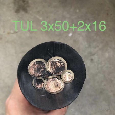 ������̳��hibet(�й�)�ٷ���վ