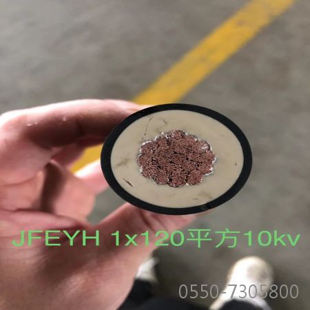 ������̳��hibet(�й�)�ٷ���վ