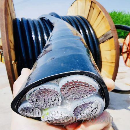 海博论坛·hibet(中国)官方网站