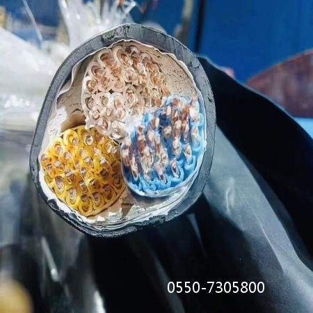 海博论坛·hibet(中国)官方网站