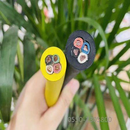 海博论坛·hibet(中国)官方网站