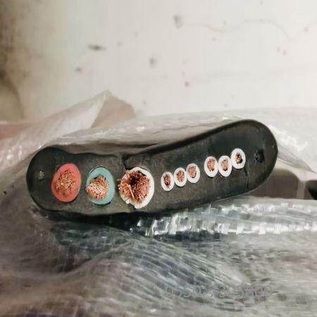 海博论坛·hibet(中国)官方网站