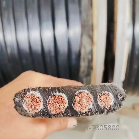 海博论坛·hibet(中国)官方网站