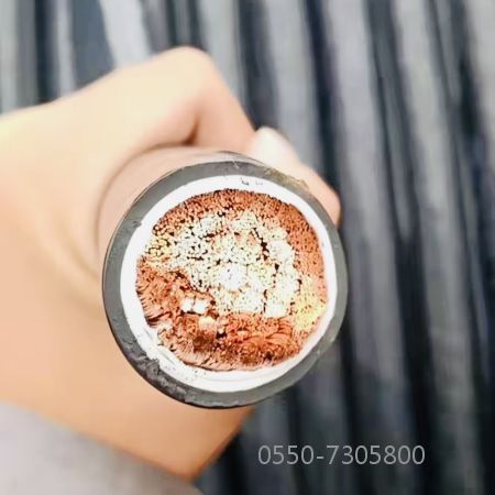 海博论坛·hibet(中国)官方网站