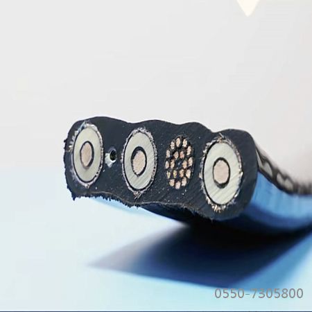 海博论坛·hibet(中国)官方网站