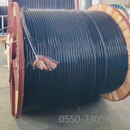 海博论坛·hibet(中国)官方网站