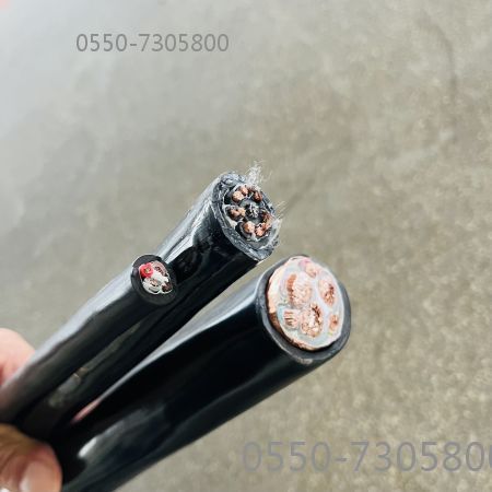 海博论坛·hibet(中国)官方网站